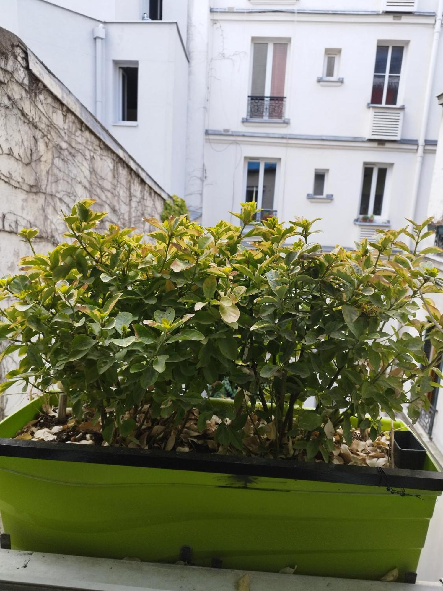 Petit Cocon Parisien ! Paris Centre - Gare Du Nord Apartment Room photo